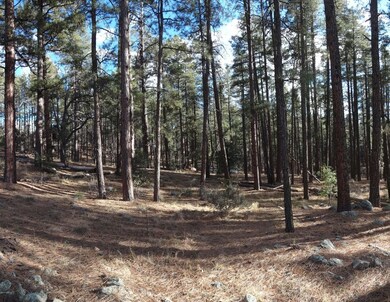 TREED 1.03 ACRE LOT
