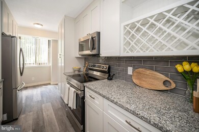 Skyline Square North and South unit 101N, Baileys Crossroads, VA 22041 - photo 7