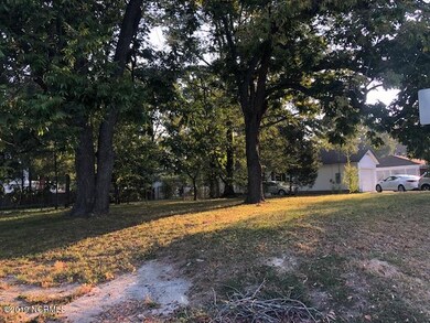 ADDITIONAL VIEW