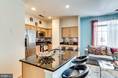 7923 Eastern Ave unit 906, Silver Spring, MD 20910 - photo 7