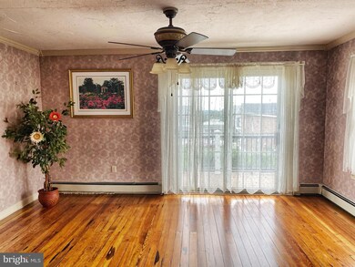 114 W Stone Aly, Alburtis, PA 18011 - photo 6