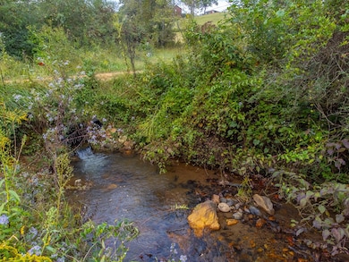 36 Halfway Back Ln, Franklin, NC 28734 - photo 7