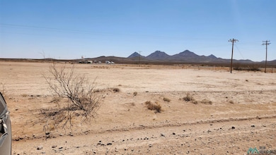 00 Columbus Hwy Hwy SE, Deming, NM 88030 - photo 5