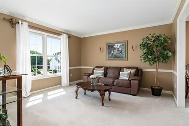 Light and bright living room