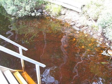 W8559 Nick Rd, Tomahawk, WI 54487 - photo 5