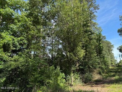 2 Acres U S 49, Collins, MS 39428 - photo 6