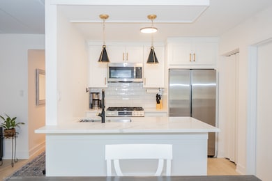 10 E Fountainview Ln unit 1B, Lombard, IL 60148 - photo 5