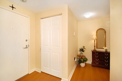 Watermill Place unit 119, Arlington, MA 02476 - photo 4