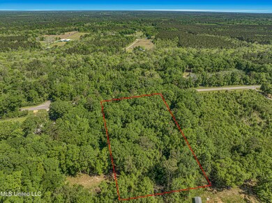 2838 Highway 43 S, Picayune, MS 39466 - photo 7