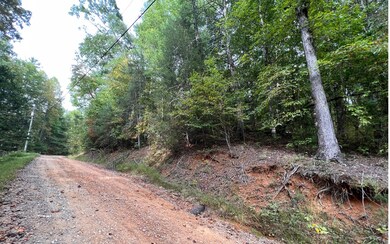 Additional View