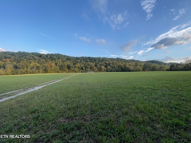 517 Paint Rock Valley Road