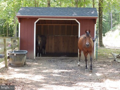12640 Mill Rd, Fredericksburg, VA 22407 - photo 3