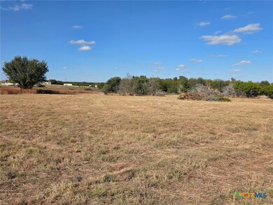 TBD Avila Ln, Briggs, TX 78608 - photo 6