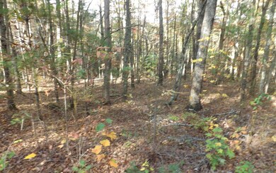 Additional View