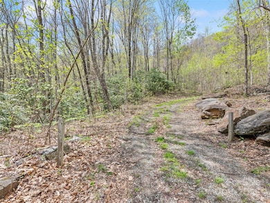 0 Laurel Ridge Dr unit CAR4250999, Waynesville, NC 28786 - photo 3