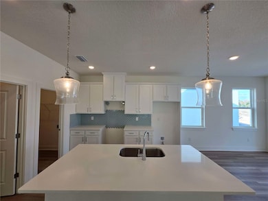 3827 Daybreak Run Loop, Spring Hill, FL 34609 - photo 4