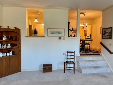 Large Family Room with Lots of Light