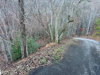 1611 Mountain Dreams Way, Sevierville, TN 37862 - photo 4