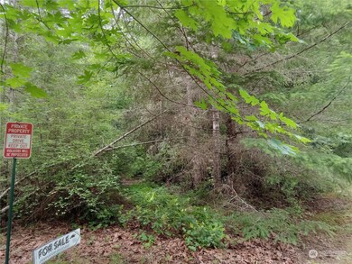 16917 92nd St SW, Longbranch, WA 98351 - photo 4