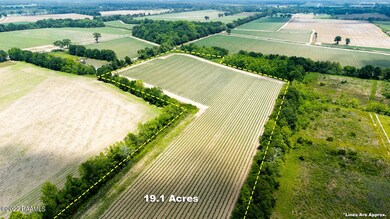 6593 Andrus Rd Aerials-3