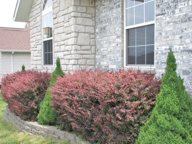 Landscaping is beautiful!