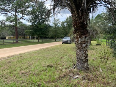 3898 Darlene Rd, Middleburg, FL 32068 - photo 7