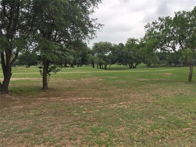 24009 Oak Shadow, Whitney, TX 76692 - photo 4