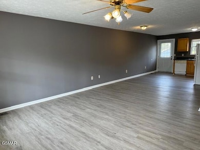 238 Gray Slate Cir, Sevierville, TN 37876 - photo 5