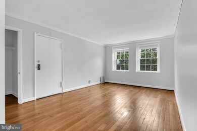 2971 S Columbus St unit B1, Arlington, VA 22206 - photo 5