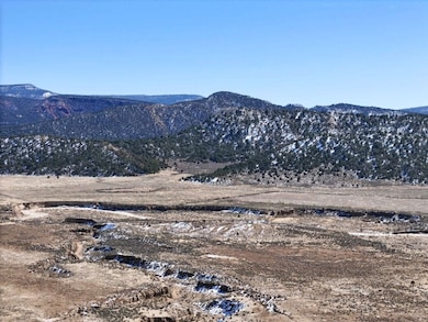Co Rd 389, Regina, NM 87046 - photo 3