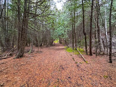 trails-in-interior-4