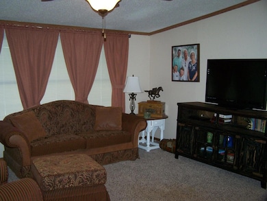 45 Cripple Minnow Bend, Pottsboro, TX 75076 - photo 5