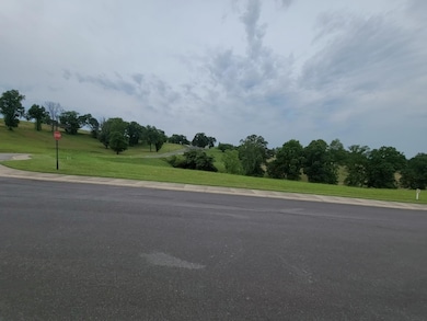 DJI_20240522_180928_11