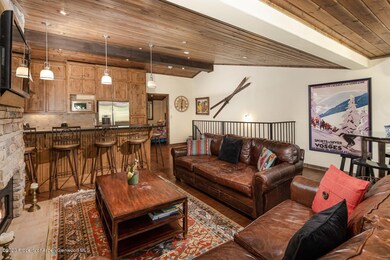 718 S Mill St unit 4, Aspen, CO 81611 - photo 3