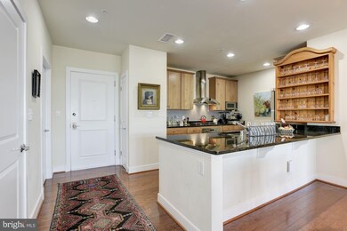 Acton's Landing Condominiums unit 502, Annapolis, MD 21401 - photo 6