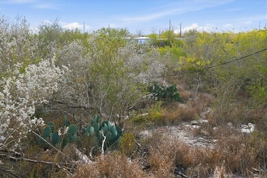 00 Ranger Dr, Sandia, TX 78383 - photo 5