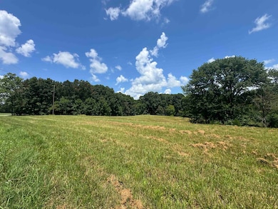 15ACRES Monk House Rd, Somerville, TN 38068 - photo 7