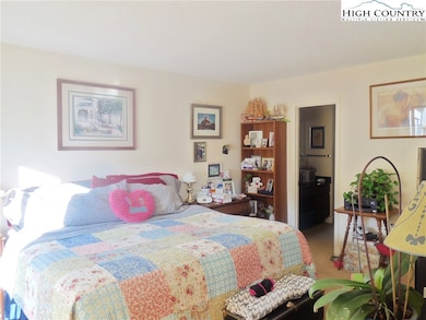 10545 Nc Highway 105 S Hwy, Banner Elk, NC 28604 - photo 7