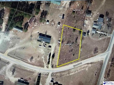 Lot 70 Murray Ln, McBee, SC 29101 - photo 2