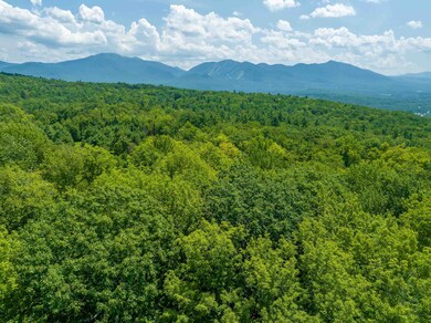 Map 4 Lot 14 Oaks Rd, Franconia, NH 03580 - photo 4