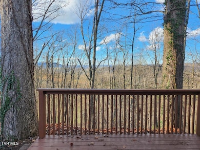 524 Haven Dr, Kingsport, TN 37663 - photo 3