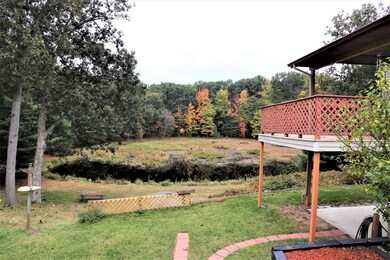 Pond backyard