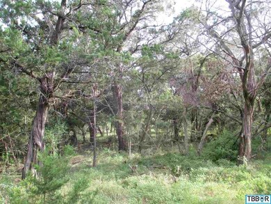 5313 Reef Ln, Temple, TX 76502 - photo 5