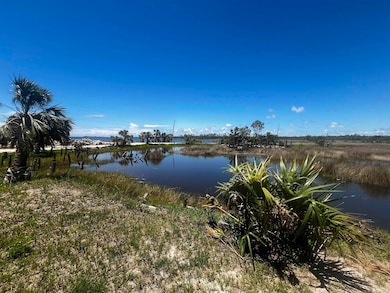 000 Ezell Beach Rd, Perry, FL 32348 - photo 2