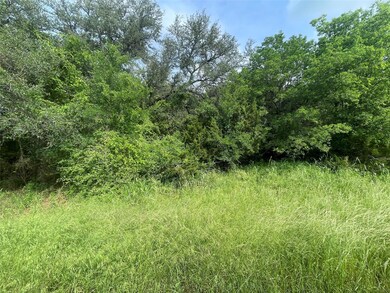 35054 Oak Forest Dr, Whitney, TX 76692 - photo 5