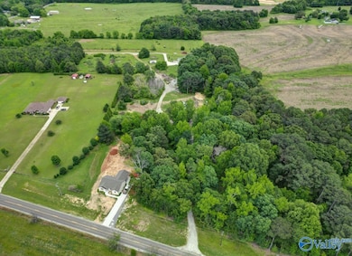 20290 Looney Rd, Athens, AL 35613 - photo 3