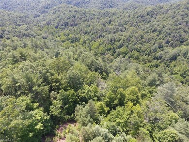 795 Wagon Ridge Ln, Ferguson, NC 28624 - photo 7