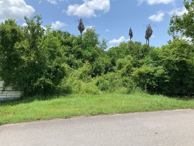 302 Walsh Rd, Rosenberg, TX 77471 - photo 6