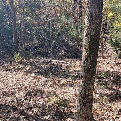 Crestwood Hills BLK 2 Lot 6 pic 3