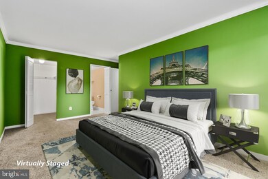 Chestnut Grove Condominiums unit 343, Reston, VA 20190 - photo 7